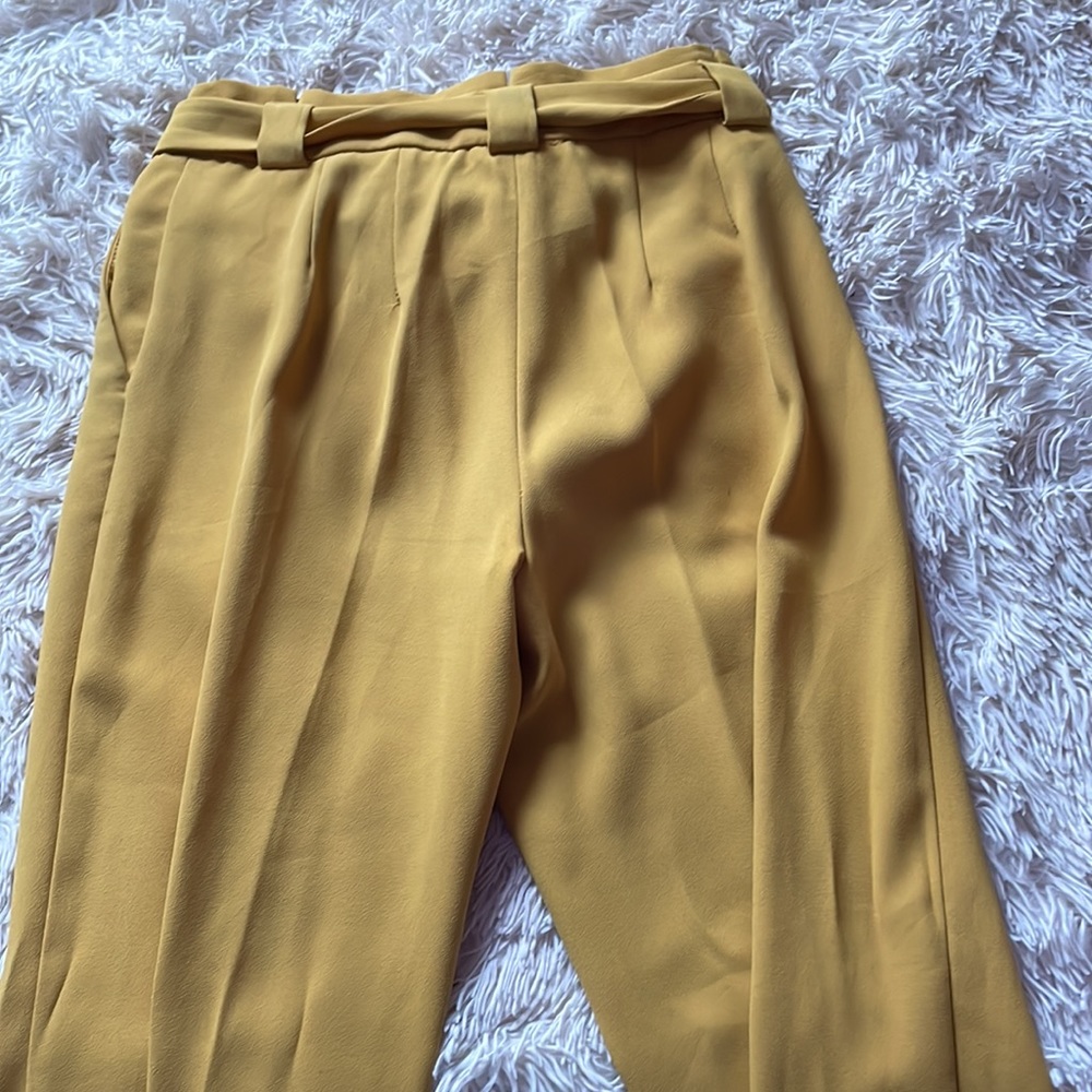 Express Work Pants - Picture 5 of 6
